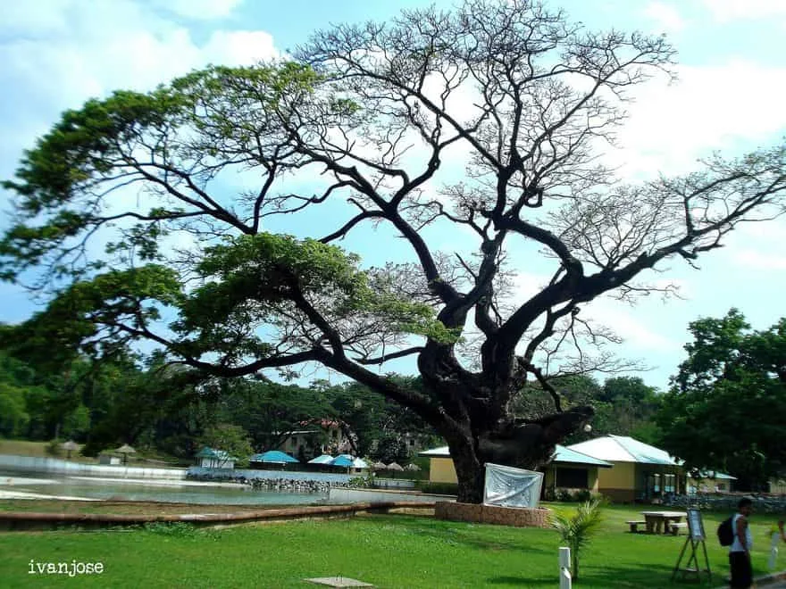 Zona Kolam Renang di Grande Island Resort