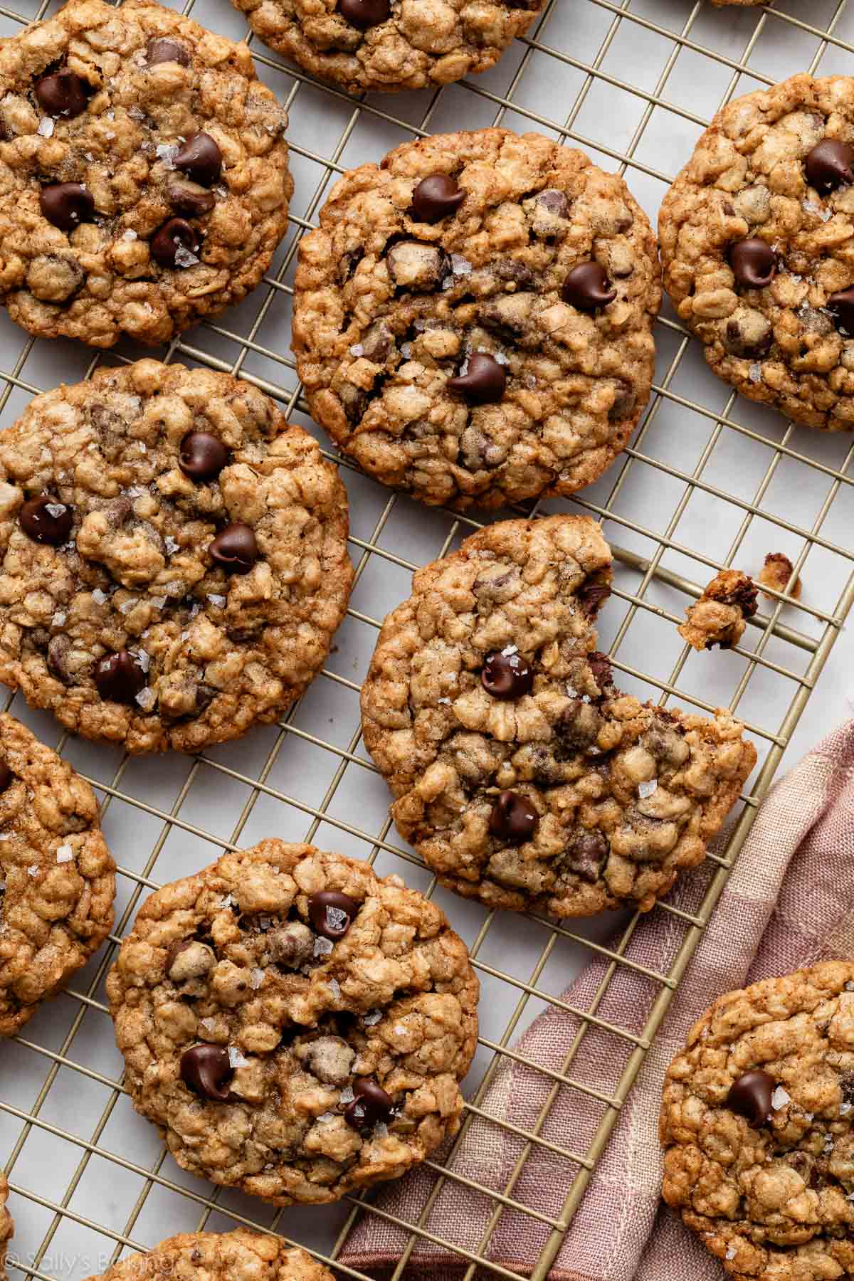 Cookie Chocide Oatmeal Chewy dan Chip

 – Beragampengetahuan