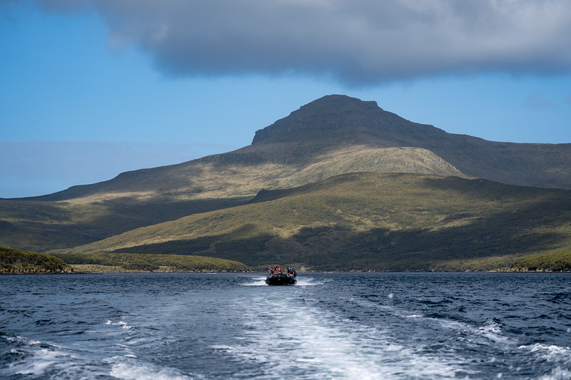 Zodiac at Campbell Island, New Zealand