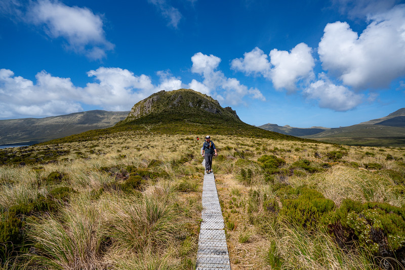 David Stock hiking Col Lyall boardwalk on Campbell Island, New Zealand