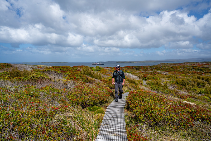 David Stock hiking on Enderby Island, New Zealand