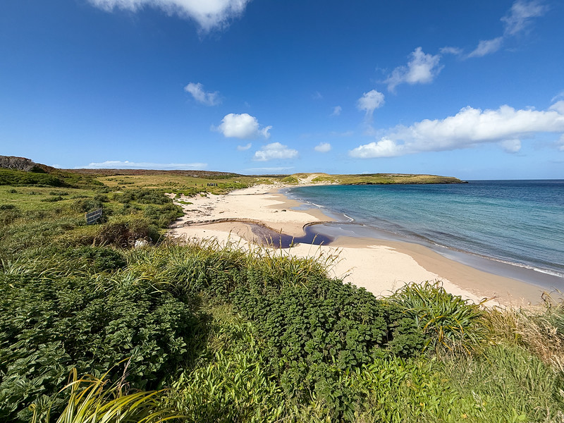 Sandy Bay, Enderby Island, New Zealand