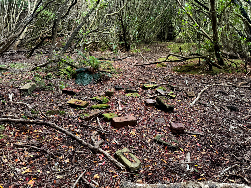Bricks at Hardwicke, Auckland Island, New Zealand