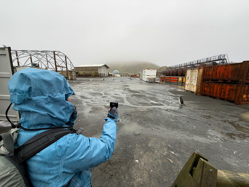 Lina Stock at the Macquarie Island research center