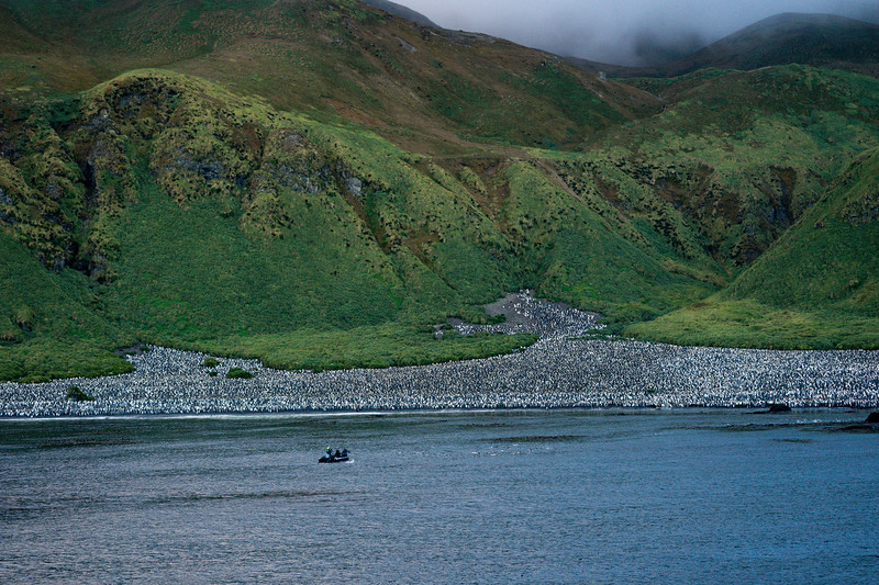Zodiac approaching Lusitania Bay on Macquarie Island, Australia