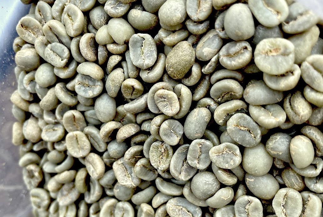 Ilmu kopi mengarah ke cacat dengan UC Davisd Daily News of the Baked Magazine

 – Beragampengetahuan