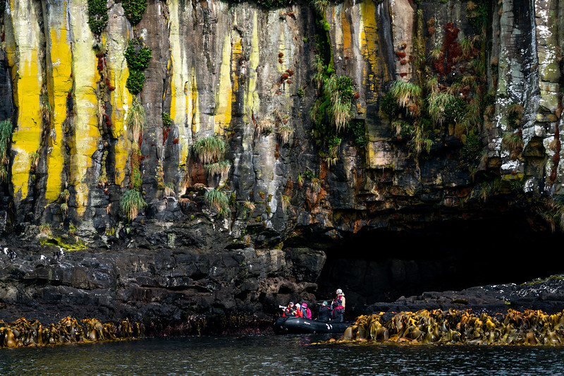 Zodiac cruising on the coastline of Enderby Island, New Zealand