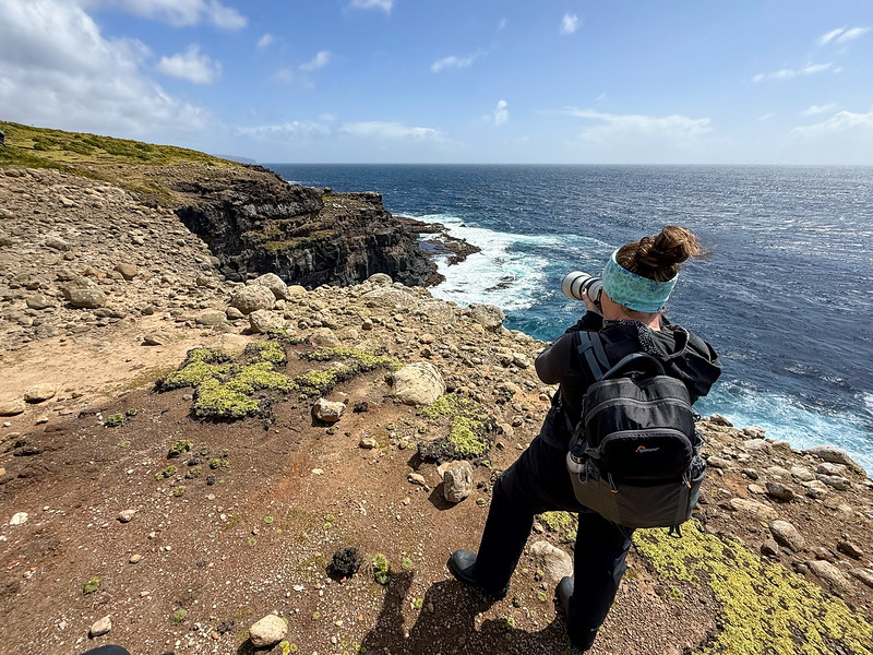 Lina Stock on Enderby Island, New Zealand