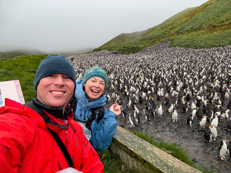 Lina & David Stock with royal penguins on Macquarie Island, Australia