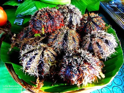 Landak laut dijual di baywalk di kota pangeran Puerto