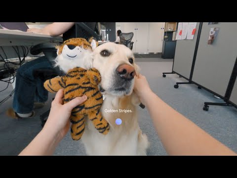 Video YouTube