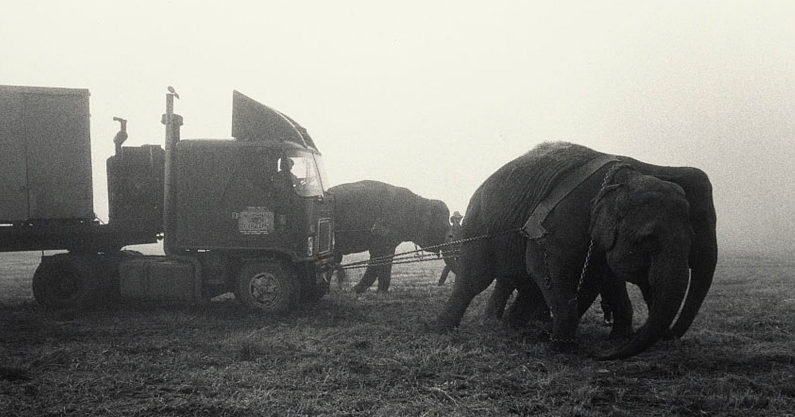 Gambar -gambar fotografer yang mencolok di sekitar kehidupan di tahun 1980 -an

 – Beragampengetahuan