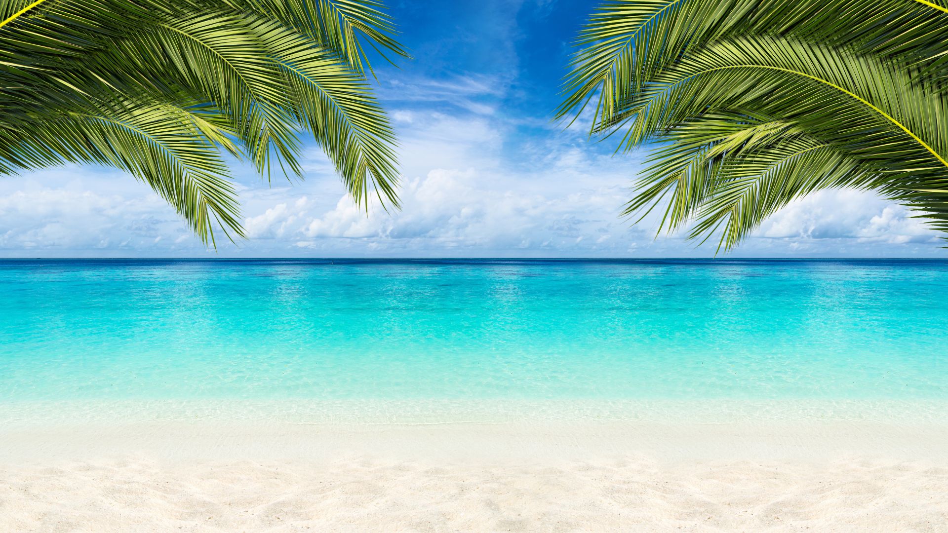 Club Paradise Coron: The Ultimate Luxury Escape

 – Beragampengetahuan