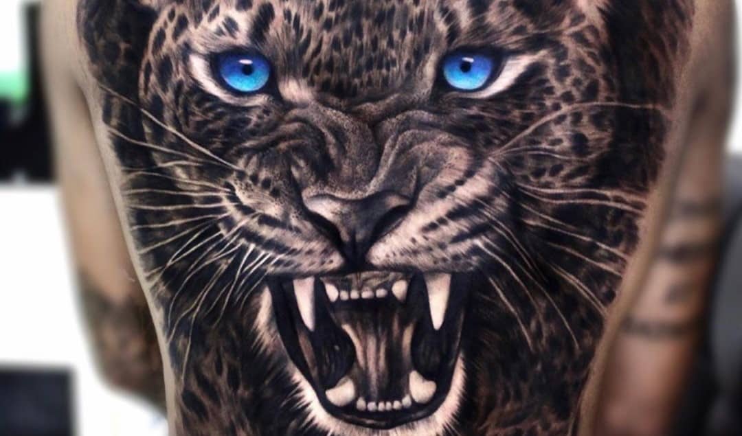 5 Tato putih terbaik di tahun 2025

 – Beragampengetahuan