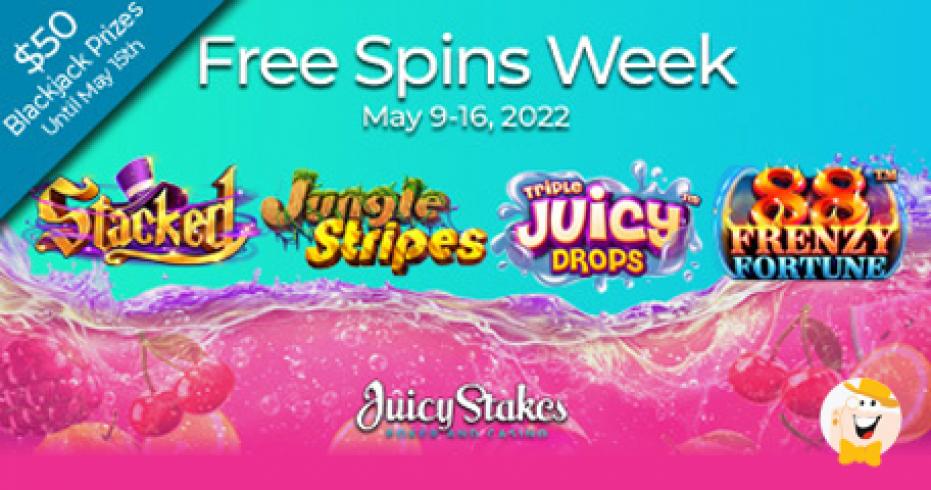 An informed Crypto and you can Bitcoin Playing Websites 30 free spins Miss Cherry Fruits Jackpot Party within the 2024 – Bisabisnis.id – Beragampengetahuan.com