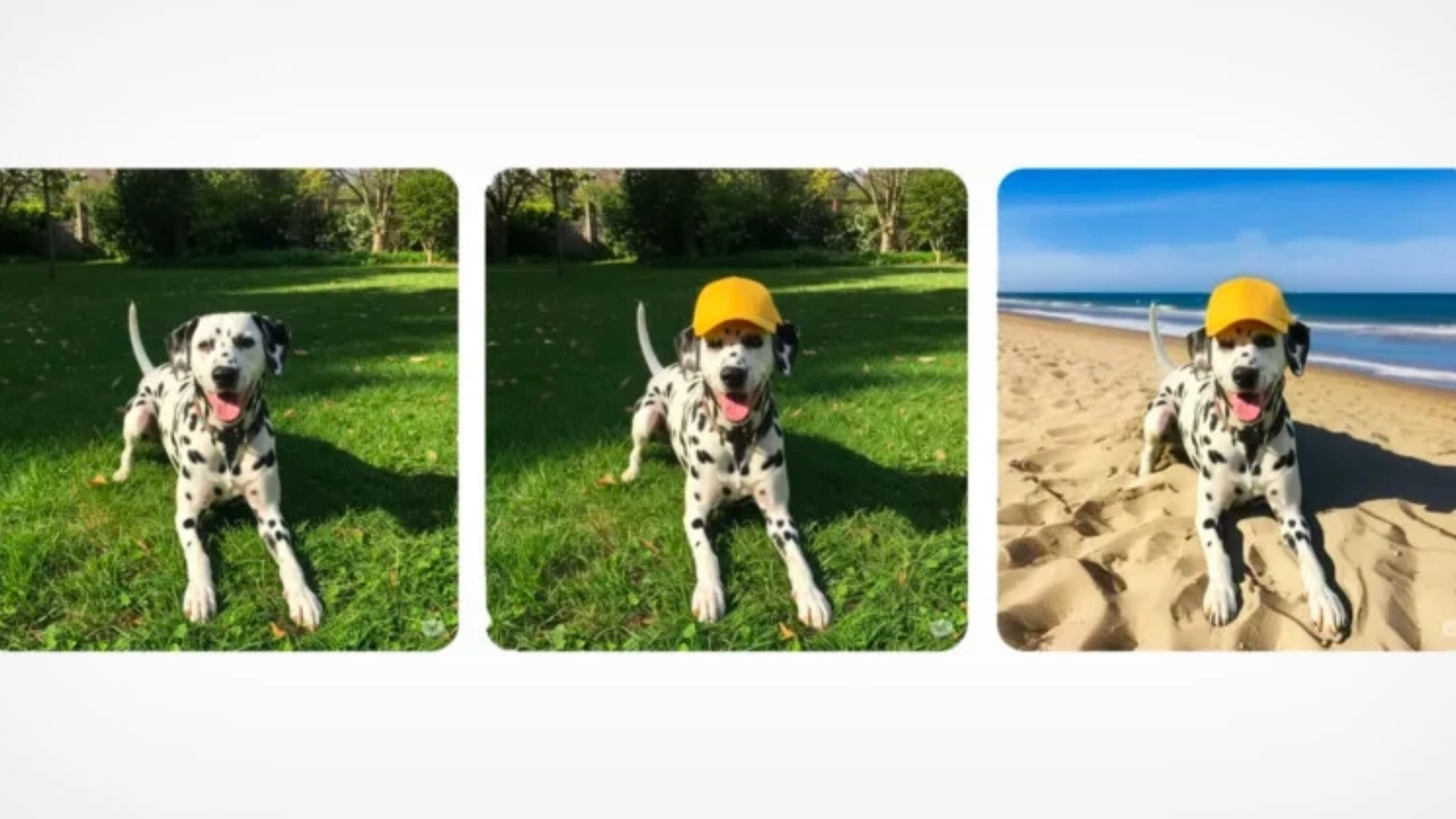 Google AI sekarang memungkinkan Anda mengedit foto Anda

 – Beragampengetahuan