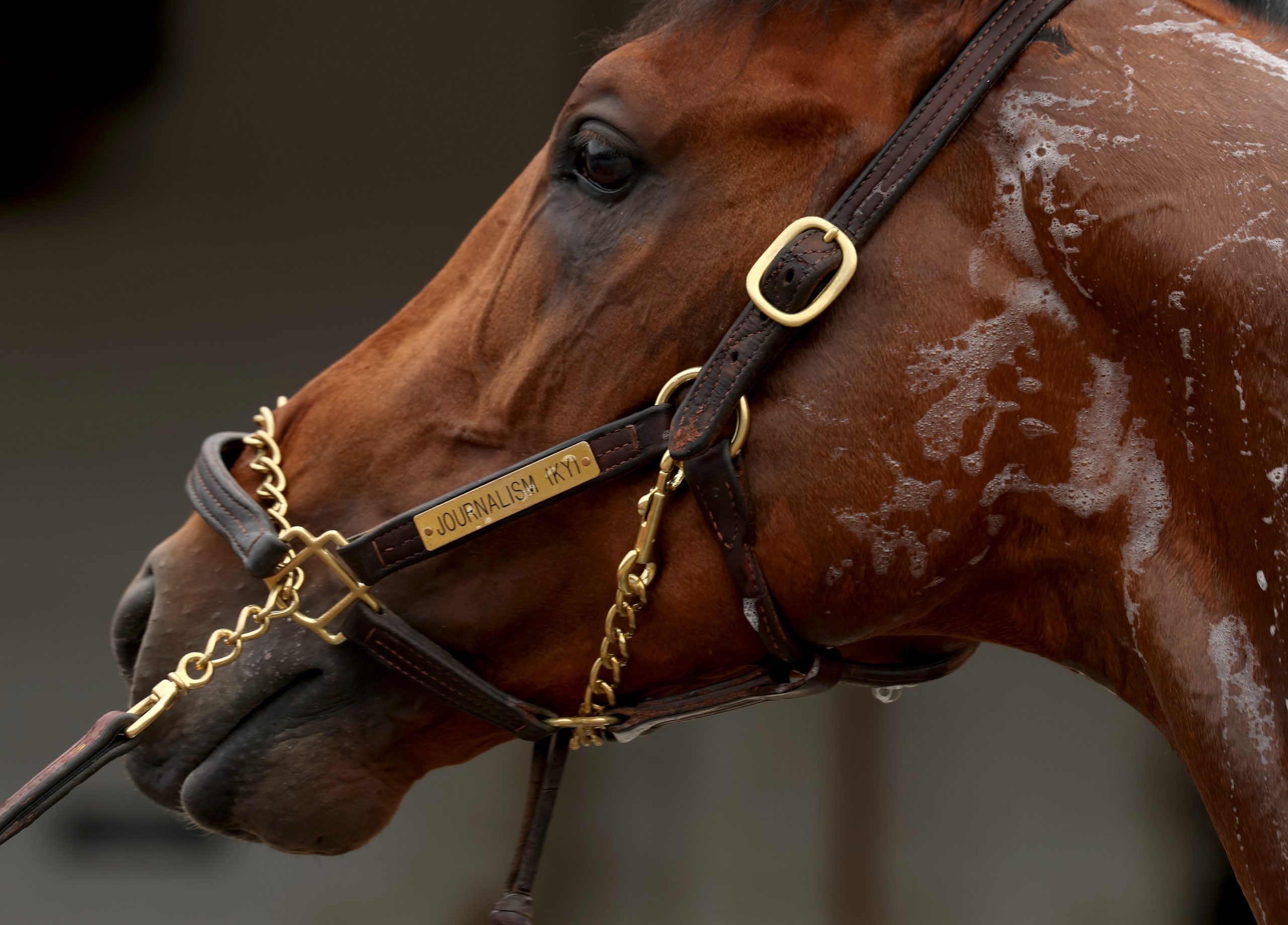 Apakah Anda yakin ingin bertaruh pada jurnalisme?

 – Beragampengetahuan