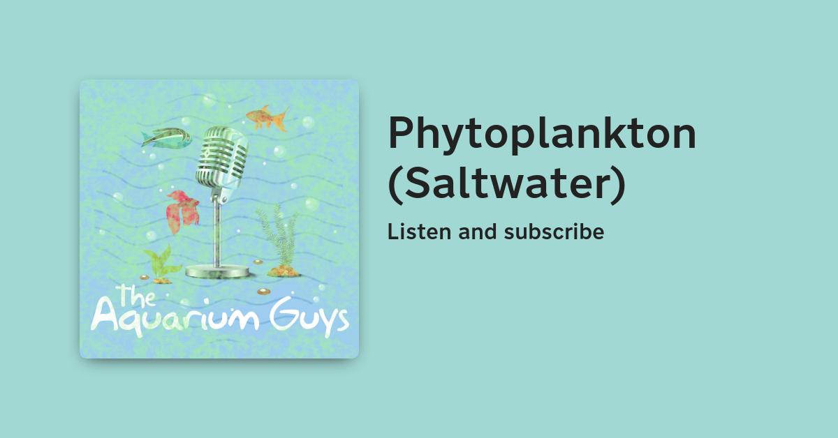 #115 – Phytoplankton (Saltwater) – Beragampengetahuan