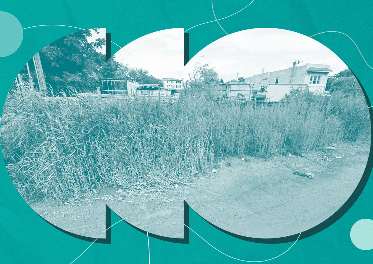 Proyek pengembang 270 pada parsel ratu kosong

 – Beragampengetahuan