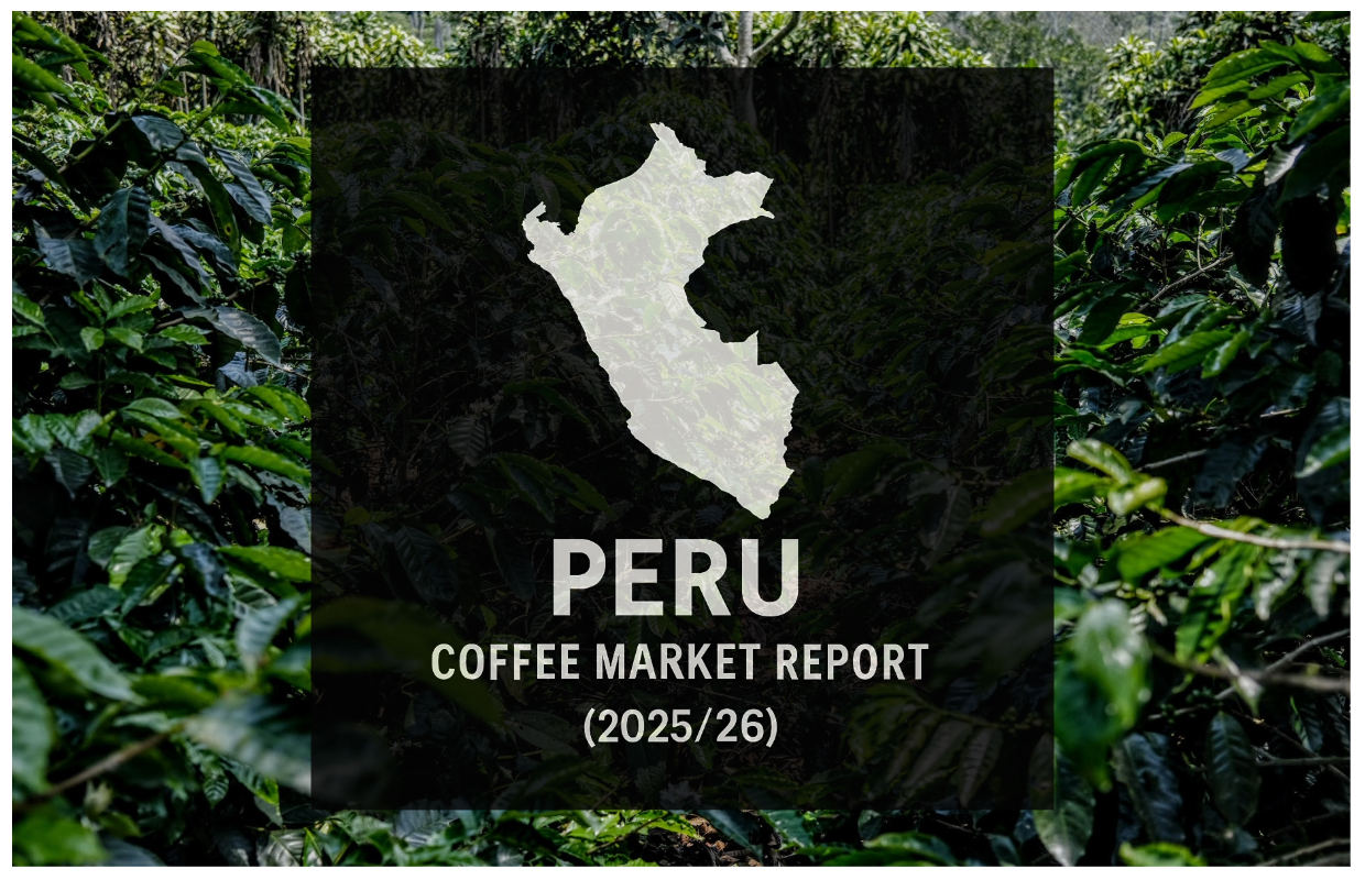 Memproduksi rebound karena kami masih pembeli utama

 – Beragampengetahuan