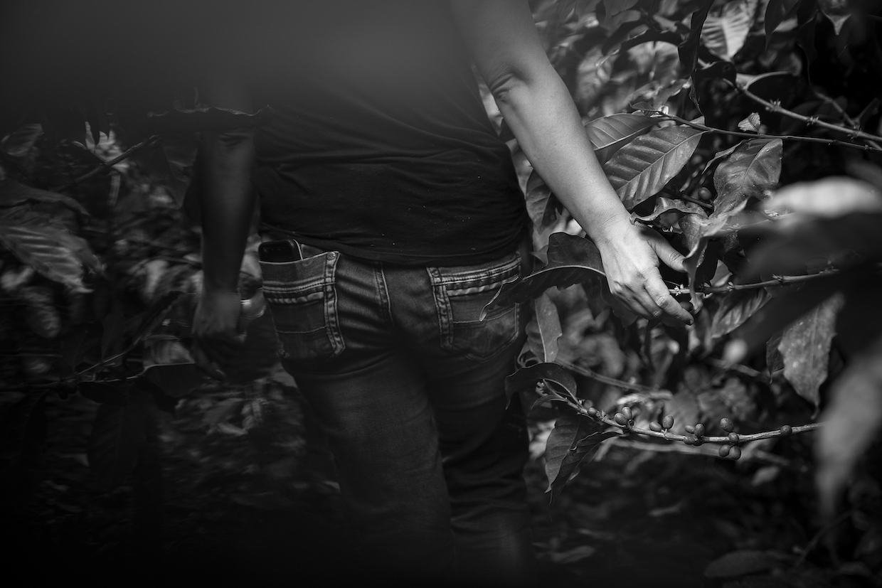 Sana mendukung kesehatan mental petani kopi wanita

 – Beragampengetahuan