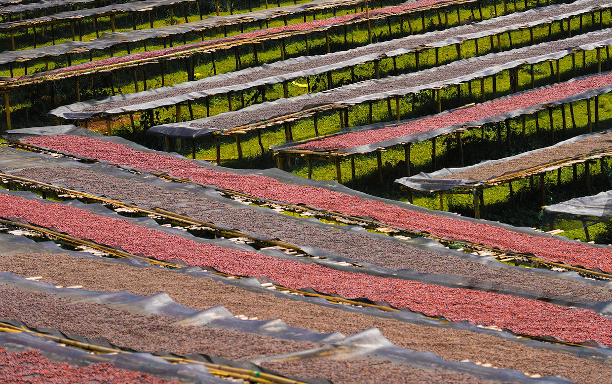 Catatan Lelang Industri Ethiopia + sangat mengkhawatirkan ‘untuk EUD

 – Beragampengetahuan