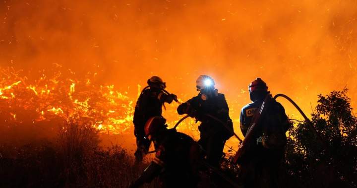 Kebakaran hutan menyapu pinggiran kota Athena utara, penghuni memesan evakuasi – nasional

 – Beragampengetahuan