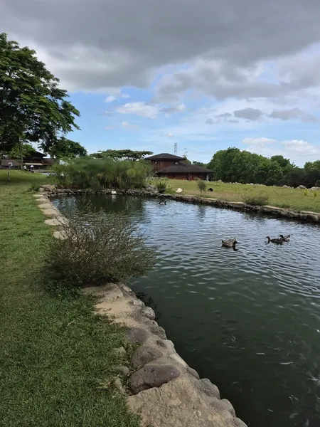 Kolam di tempat kudus sifat angelfields Kolam di tempat kudus sifat angelfields