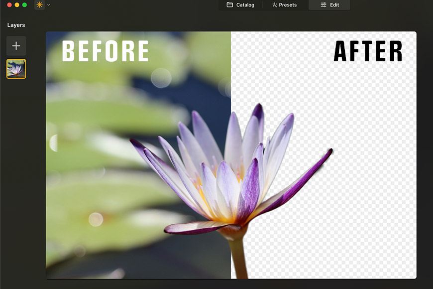 Menguji Penghapusan Latar Belakang Lampu Alat AI

 – Beragampengetahuan