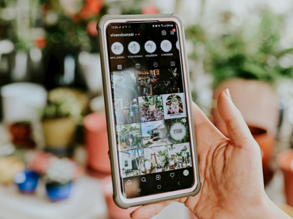 How to Rank on Instagram and Google – Beragampengetahuan