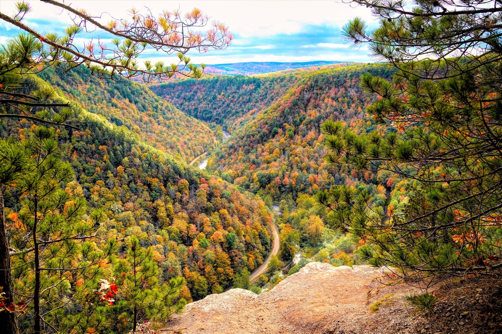 The steep canyon walls and forested valleys of Pine Creek Gorge