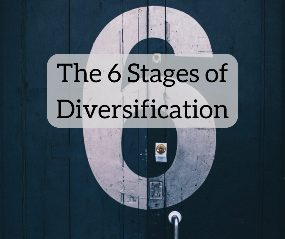 6 Tahapan Diversifikasi – Di Mana Anda?

 – Beragampengetahuan