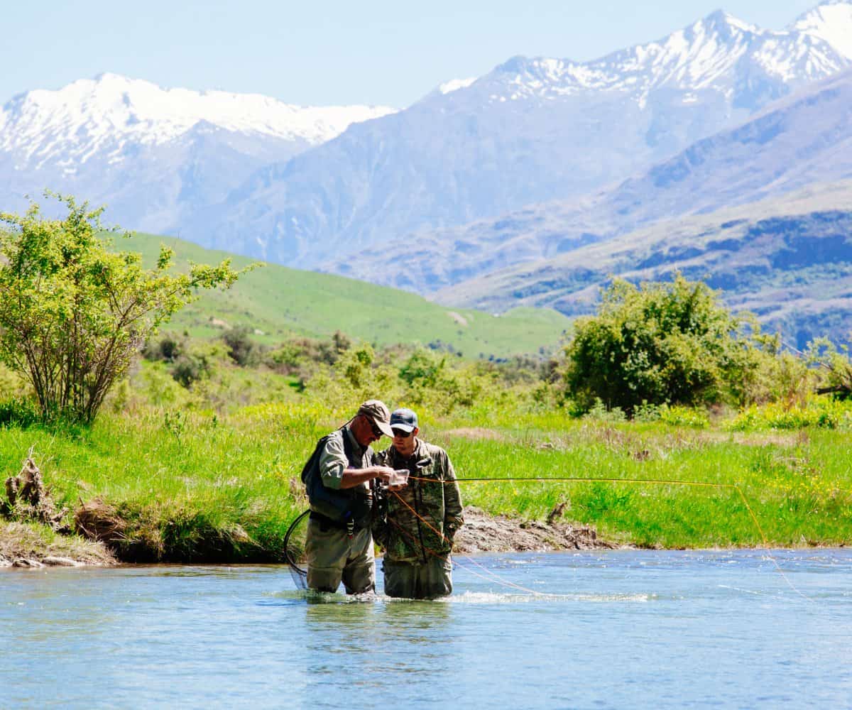 Spring in New Zealand’s South Island – Beragampengetahuan