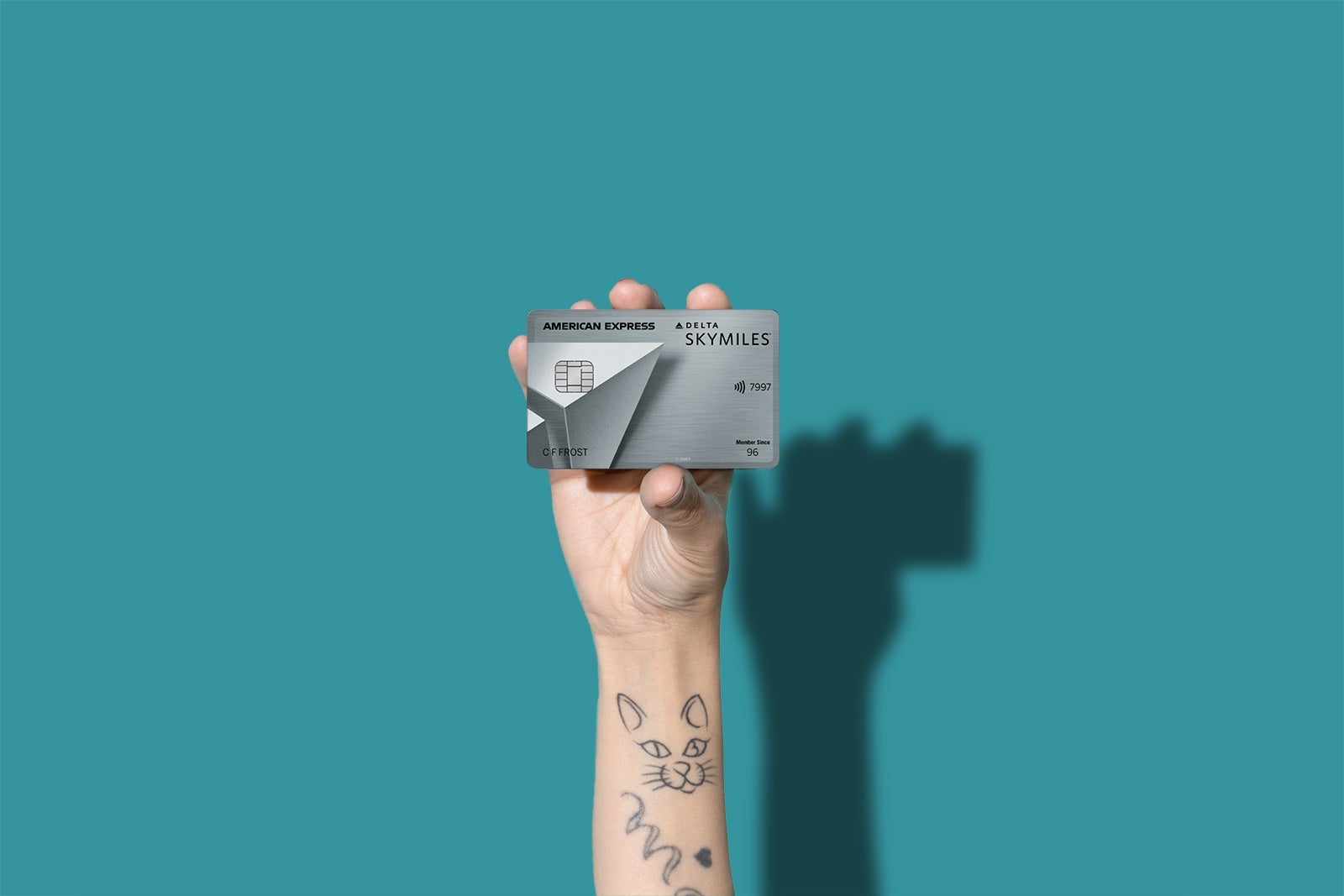 Delta Platinum Skymiles Card Art