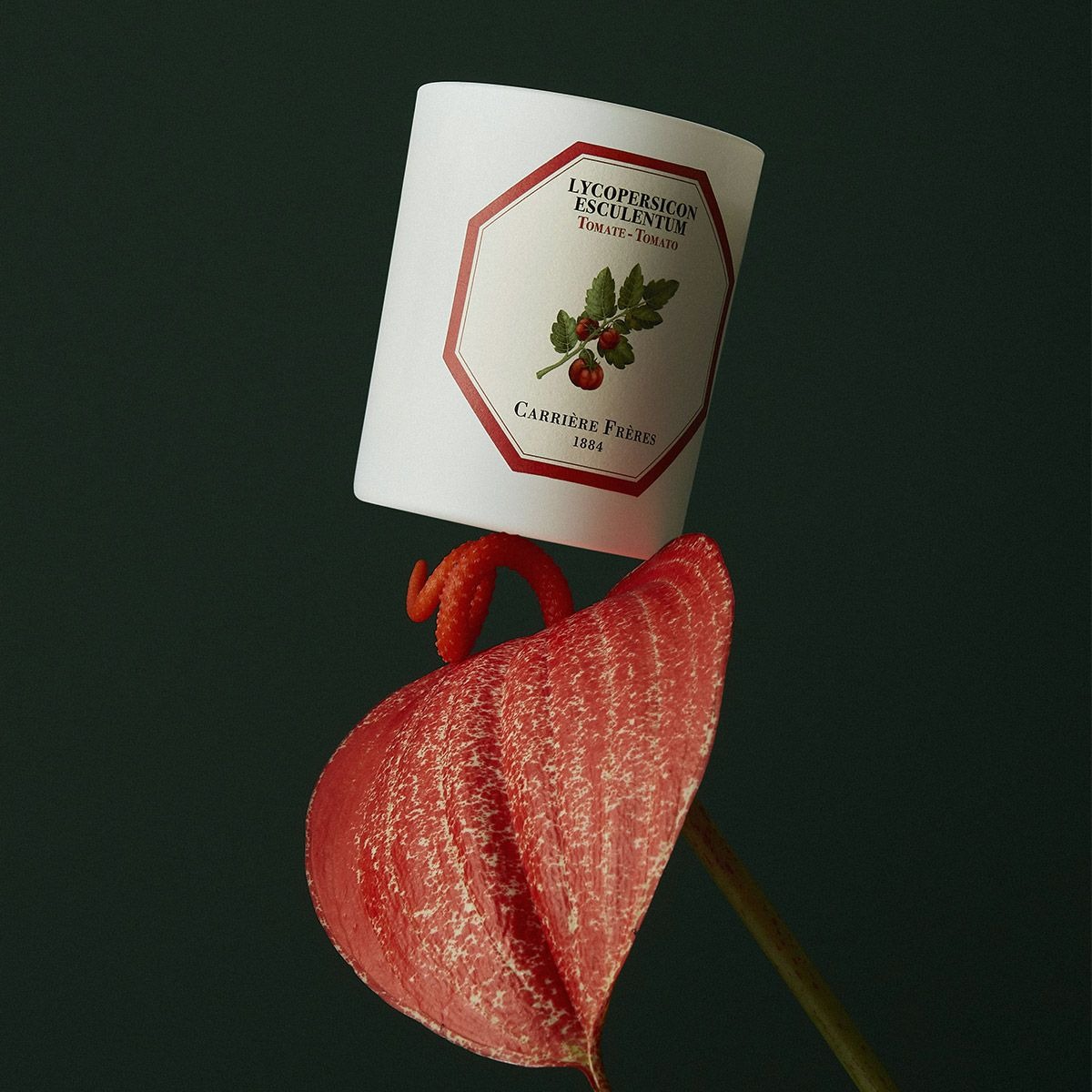 Carrierfreres, lilin tomat