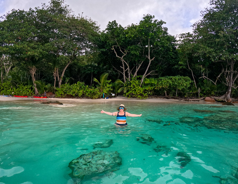 Saham Lina di Anse Georgette di pulau Praslin, Seychels