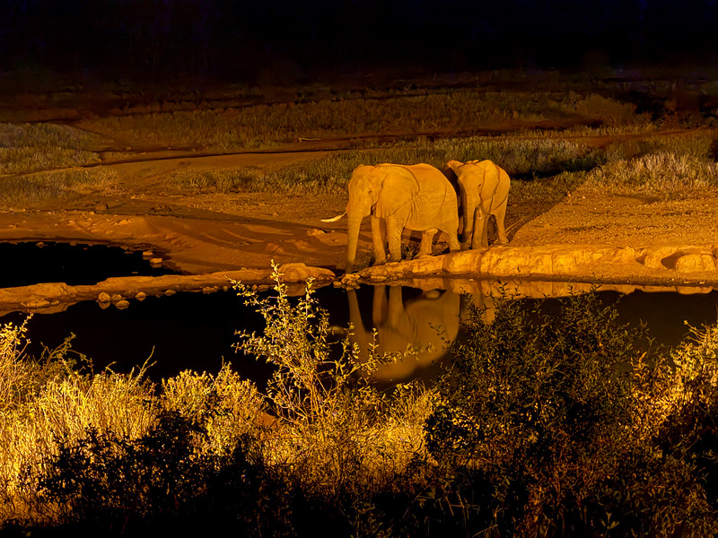 Elephants at the watering hole at Kilaguni Serena Safari Lodge, Tsavo West, Kenya