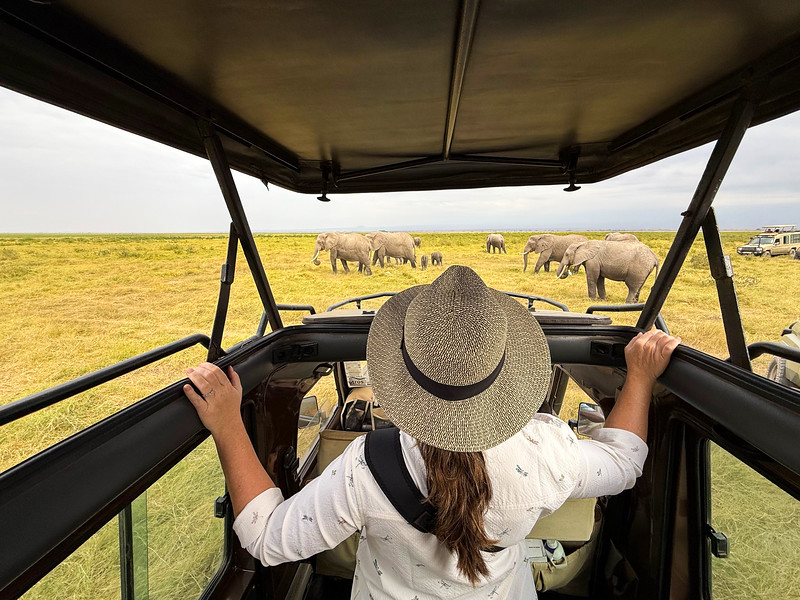 Lina Stock watching elephants from a safari truck in Amboseli National Park, Kenya