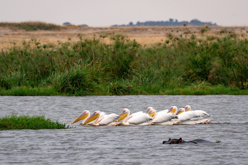 An aerial view of a field. A road runs through the upper right corner.