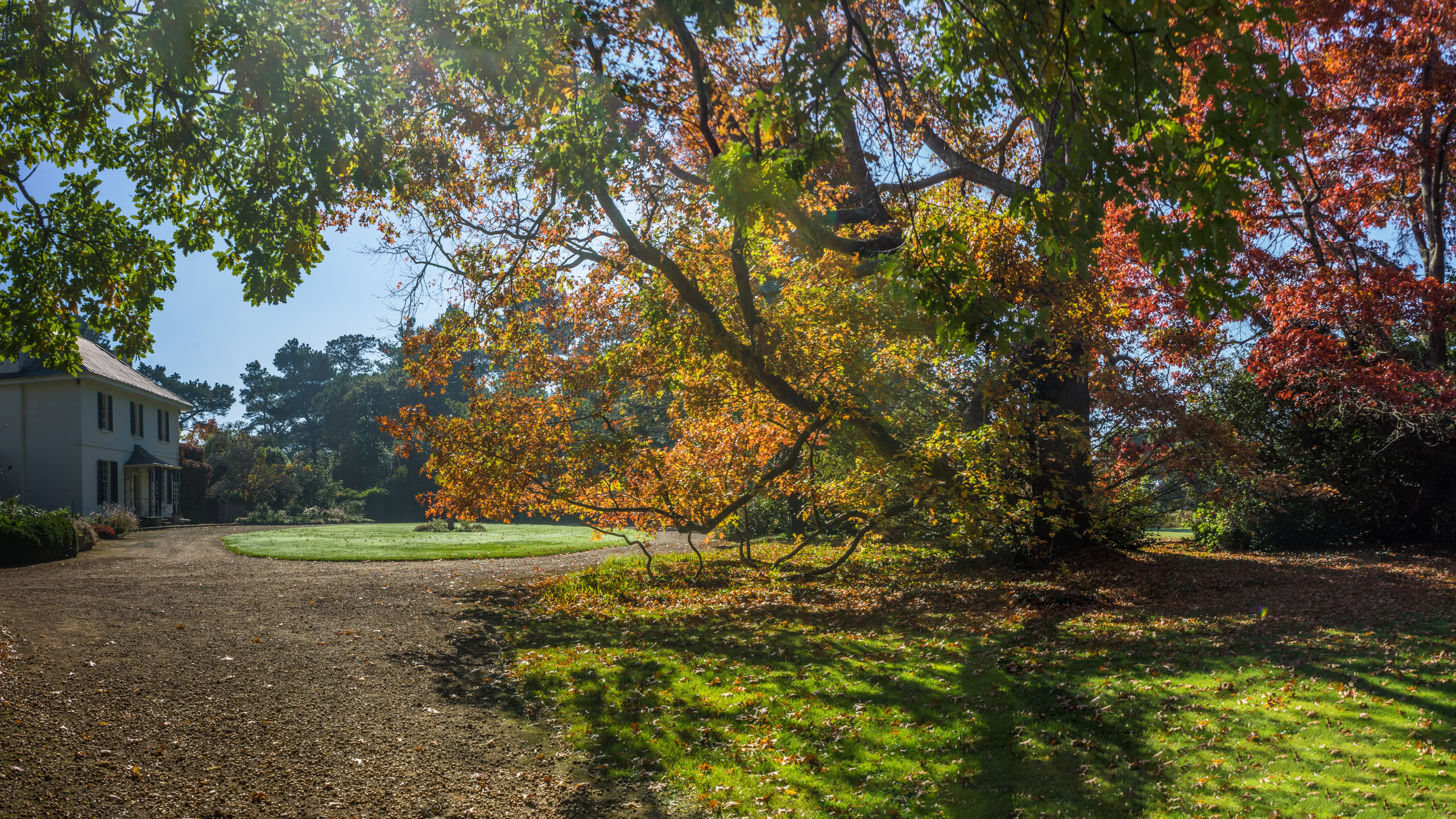 Tips Perjalanan untuk mendapatkan yang terbaik dari musim gugur

 – Beragampengetahuan