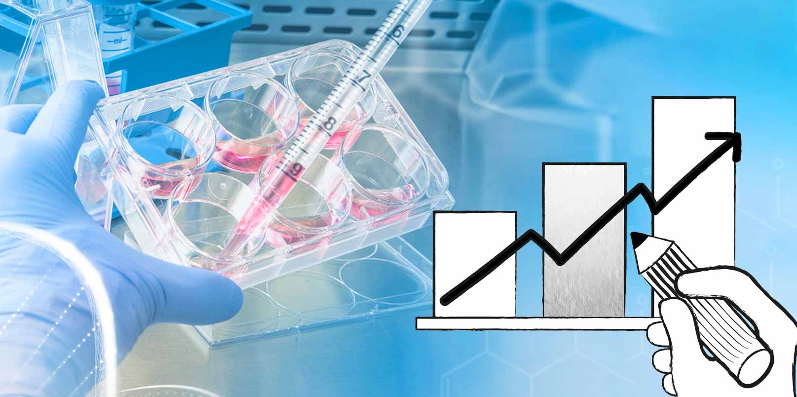 Bio sektor memimpin pemimpin usaha patungan Korea, tetapi dukungan struktural masih hilang –

 – Beragampengetahuan