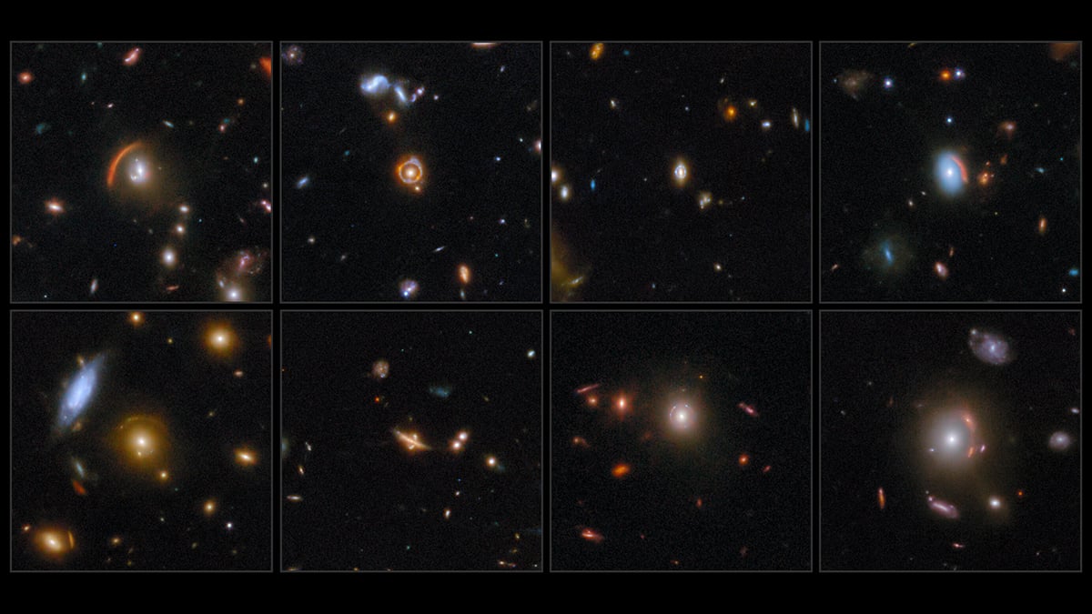 Bagaimana cara mengungkapkan satu sama lain dengan gravitasi

 – Beragampengetahuan