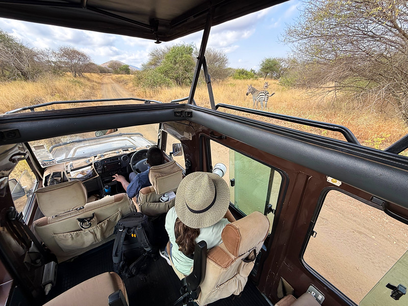 Lina Stock photographing zebra from a safari vehicle in Tsavo West, Kenya