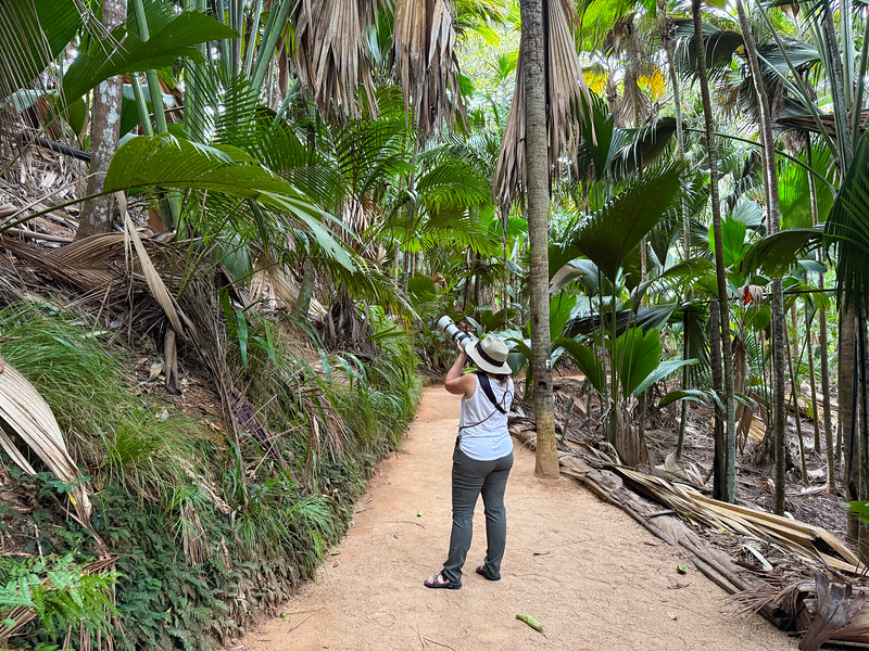 Lina Stock taking photos at the Valle de Mai, Praslin Island, Seychelles