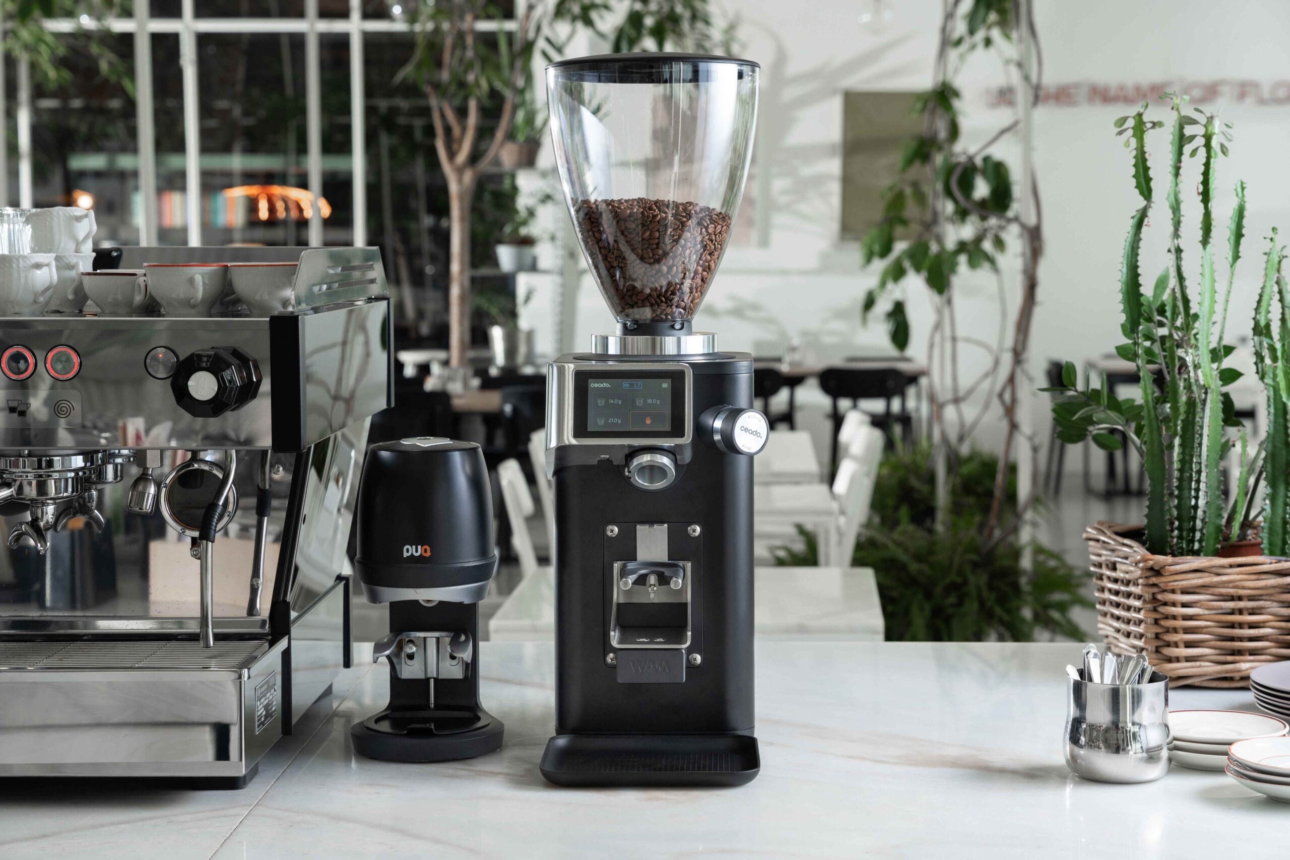Ceado At Host 2025: Cicipi desain, inovasi, dan pengalaman kopi global di Milan

 – Beragampengetahuan