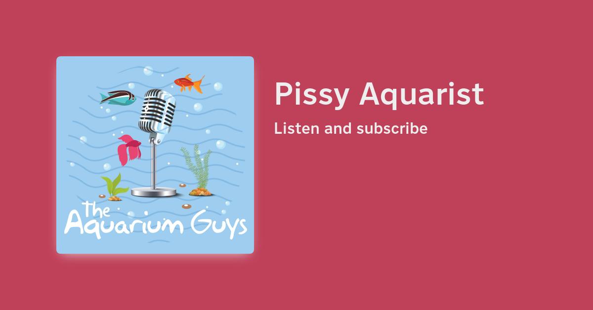 #116 – Pissy Aquarist – Beragampengetahuan