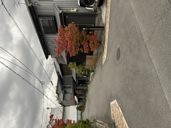 Laporan Kyoto 2025 – 6 – William Mitchell – Teori Moneter Modern

 – Beragampengetahuan