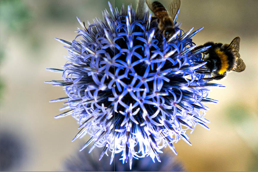 Alat AI & Pengeditan Lebih Cerdas akan diterapkan

 – Beragampengetahuan