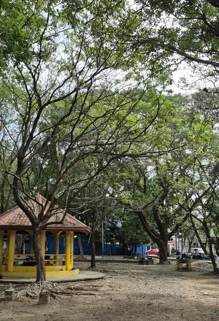 Autisme Kuentong: Percakapan Saya dengan Wanita Tua di Taman