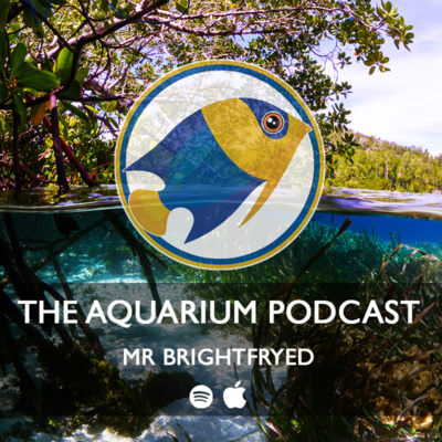 Memetakan Rio Negro (Menyelami Habitat Alami #1) oleh The Aquarium Podcast (Mr. Breitfried)

 – Beragampengetahuan